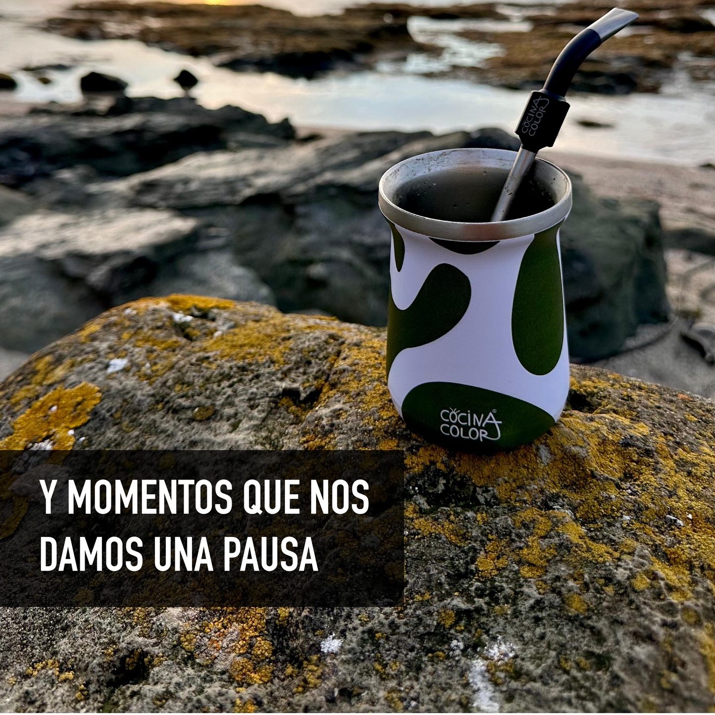 Pack Mate Color Wave Verde + Bombilla Pro